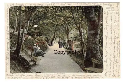 [Ansichtskarte] Sassnitz  a. Rügen     Promenade u. Damenbad. 