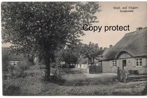 [Ansichtskarte] Wiek auf Rügen  , Dorfpartie    1913. 