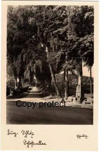 [Echtfotokarte schwarz/weiß] Burg Schlitz, Schloßallee 1935. 