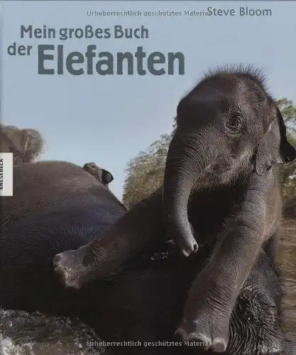 Steve, Bloom und Henry Wilson David: Mein großes Buch der Elefanten. 