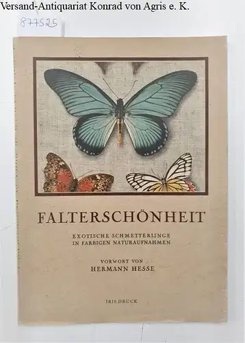 Portmann, Adolf und Hermann Hesse (Vorwort): Falterschönheit : Exotische Schmetterlinge in farbigen Naturaufnahmen. 