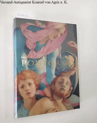 Nigro, Salvatore S. (Hrsg.): Pontormo : Il Libro Mio / Zeichnungen / Fresken / Gemälde. 