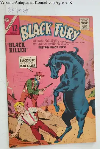 Charlton Comics Group: Black Fury No. 46 (1964). 