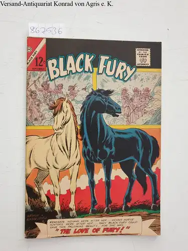Charlton Comics Group: Black Fury No. 54 (1965). 