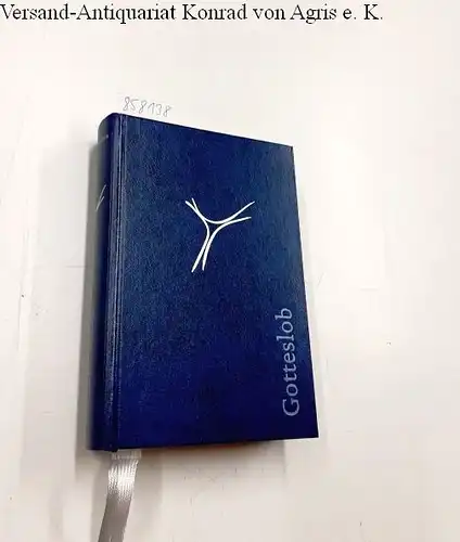 Echter Verlag: Gotteslob: Katholisches Gebet- und Gesangbuch 2013 Ausgabe für die Diözese Würzburg Kunstleder blau Silberschnitt. 