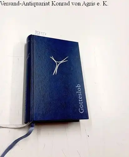 Echter Verlag: Gotteslob: Katholisches Gebet- und Gesangbuch 2013 Ausgabe für die Diözese Würzburg Kunstleder blau Silberschnitt. 