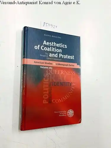 Kiesling, Elena: Aesthetics of Coalition and Protest: The Imagined Queer Community (American Studies, Band 265). 