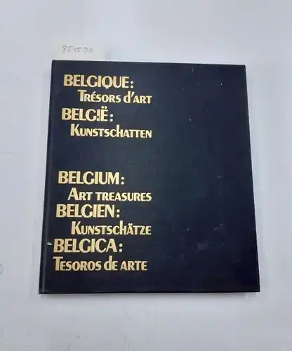 Van, Remoortere Julien: Belgique, trésors d'art. 