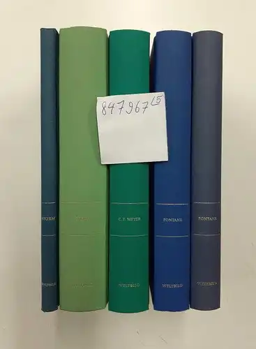 Fontane, Theodor, Theodor Storm Wilhelm Raabe u. a: Lesepaket Deutscher Realismus (Konvolut 5 Bücher). 