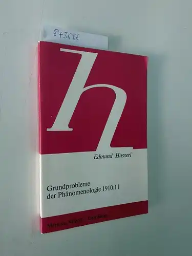 Husserl, Edmund: Grundprobleme der Phänomenologie 1910/11 (Husserliana Studienausgabe, 3, Band 3). 