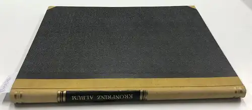 Berggruen, Olivier (Mitwirkender): Kronprinz Album. Vierundzwanzig Blätter aus dem Ihrem Kaiserlichen Hoheiten Kronprinz Rudolph und Kronprinzessin Stephanie anlässlich ihrer Vermählung am 10. Mai 1881 von.. 