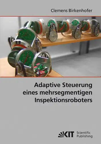 Birkenhofer, Clemens: Adaptive Steuerung eines mehrsegmentigen Inspektionsroboters. 