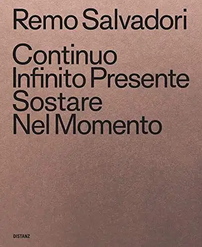 Stiftung, Insel Hombroich and Remo Salvadori: Continuo Infinito Presente / Sostare / Nel Momento: (Deutsch / Englisch). 
