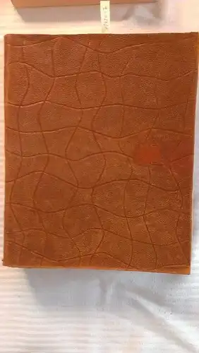 Heilmann, Dr. Alfons: Katholische Volksbibel übersetzt und ausgewählt von Dr. Alfons Heilmann (Gebundene Ausgabe). 