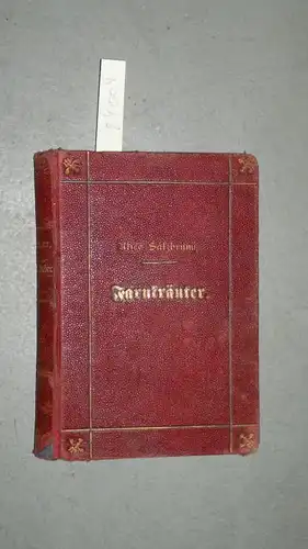 Salzbrunn, Alice: Farnkräuter
 Ein Lebensbilderbuch. Aus dem Englischen "Fern Leaves from Fanny Fern's portfolio" übersetzt. 