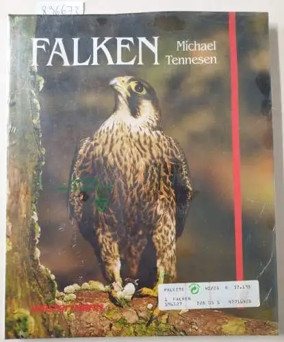 Tennesen, Michael: Falken 
 (Übersetzt aus dem Amerikanischen von Jobst-Christian Rojahn). 