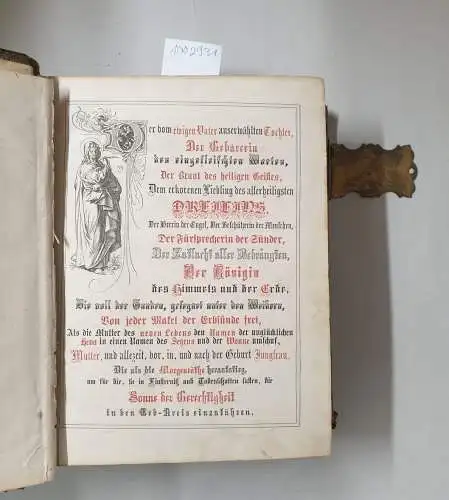Allioli, Joseph Franz von: Die Heilige Schrift des Alten und Neuen Testaments : Aus der Vulgata übersetzt von Dr. Joseph Franz Allioli. Illustrirte Volksausgabe, enthaltend.. 
