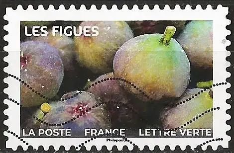 Frankreich (France) 2023 – Mi 8503 - YT Ad 2292 - Früchten : Figuen  ( Fruits : Figues - Figs )