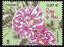 Frankreich 2020 – Mi 7608 - YT 5400 - Mediterrane Blumen : Rosen - MNH