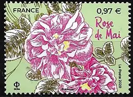 Frankreich 2020 – Mi 7608 - YT 5400 ( Mediterrane Blumen: Rosen )