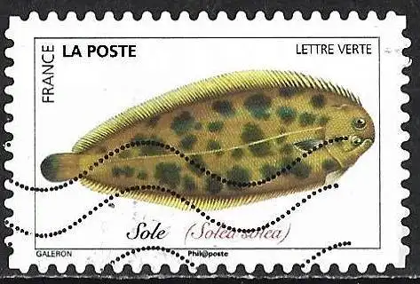 Frankreich (France) 2019 – Mi 7264 - YT Ad1689 - Alleiniger Fisch ( Poisson : Sole )