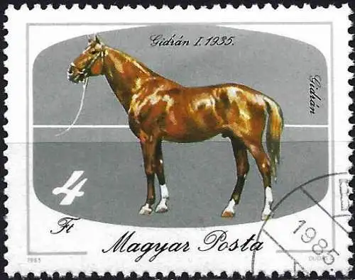 Ungarn (Hongrie) 1985 – Mi 3768 - YT 2990 - Pferd ( Cheval - Horse )