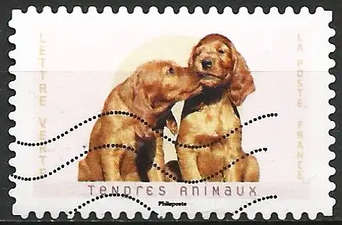 Frankreich (France) 2023 - Mi 8430 - YT Ad 2252 - Hunde ( Chiens - Dogs )