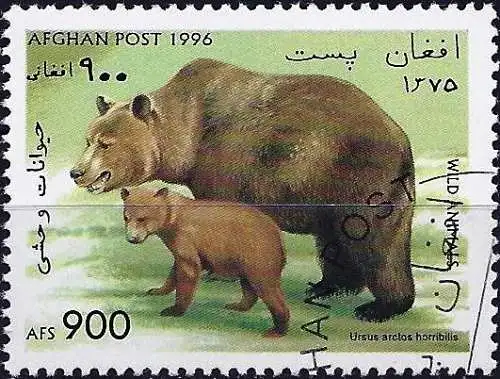Afghanistan 1996 - Mi 1678 - YT 1486 - Grizzlybär ( Ours : Grizzli - Bear