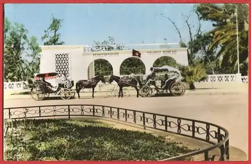 [Ansichtskarte] Tunisien - Gabès : Pferdekutschen vor dem Tourismusbüro /
Tunisia : Horse-drawn carriages in front of the Tourist Office /
Tunisie : Calèches devant l'Office du Tourisme. 