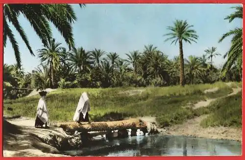 [Ansichtskarte] Tunisien - Gabès : Brücke über die Oase /
Tunisia : Bridge over the oasis /
Tunisie : Pont sur l'oasis. 