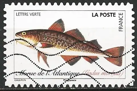 Frankreich 2019 – Mi 7273 - YT Ad1694 - Fisch : Kabeljau 