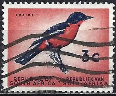 Südafrika 1964 - Mi 332 - YT 286 - Vogel 