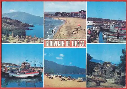 [Ansichtskarte] Algerien ( Algérie - Algeria) Souvenir an Tipaza. 