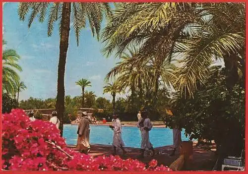 [Ansichtskarte] Marokko - Marrakesch: Das Club Med-Schwimmbad /
Maroc - Marrakech : La piscine du Club Med /
Morocco - Marrakech: The Club Med swimming pool. 