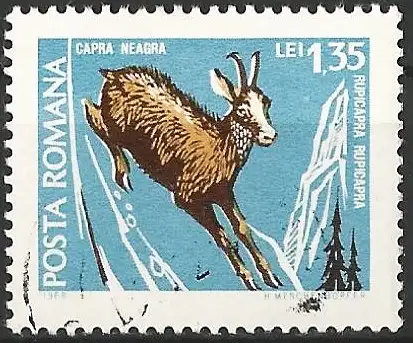 Rümanien 1968 – Mi 2730 - YT 2429 - Gämse 
