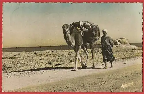[Ansichtskarte] Algerien : Algerien: Kamel und Beduine /
Algérie : Chameau et bédouin /
Algeria: Camel and Bedouin. 