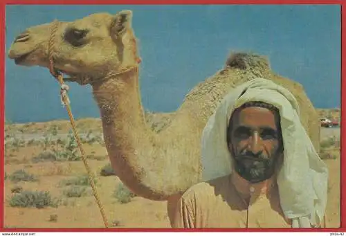 [Ansichtskarte] Kamel und Beduine /
Chameau et bédouin /
Camel and Bedouin. 