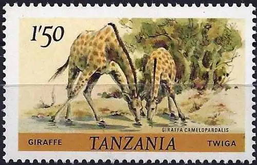 Tansania 1980 - Mi 168C - YT 170 - Giraffe - MNH