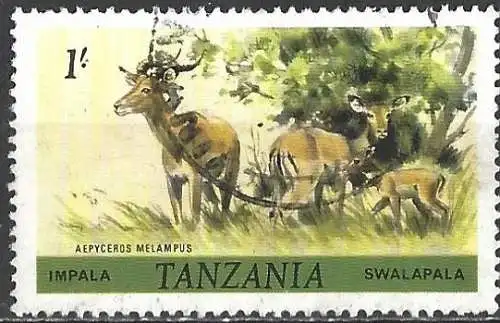 Tansania 1980 - Mi 167 - YT 169  - Fauna : Impala-Antilope