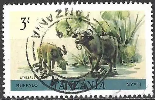 Tansania 1980 - Mi 170 - YT 172  - Fauna : Afrikanischer Büffel