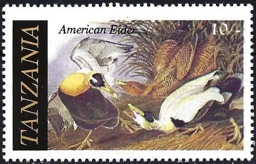 Tansania 1986 - Mi 316 - YT 278 - Vogel / Eider - MNH 