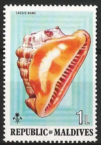 Malediven 1975 - Mi  551 - YT 511 - Muschel ( Coquillage - Shell ) MNH