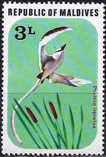 Malediven 1977 - Mi 713 - YT 660 - Vogel ( Oiseau - Bird ) MNH