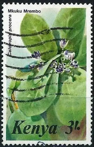 Kenia 1985 - Mi 340 - YT 345 - Heilpflanze ( Plante médicinale - Medicinal Herb )