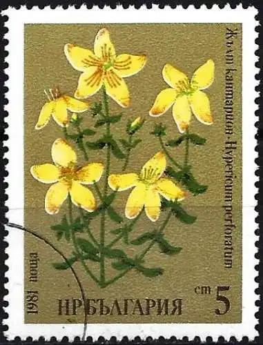 Bulgarien 1981 - Mi 2964 - YT 2602 - Blume, Medizinische Pflanze