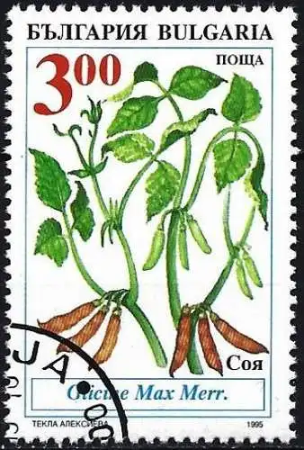Bulgarien 1995 - Mi 4169 - YT 3614 - Gemüse: Kichererbse