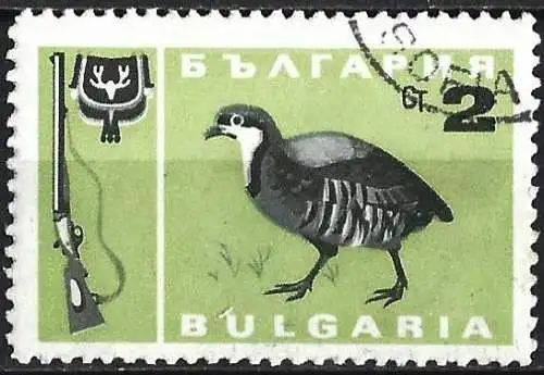 Bulgarien 1967 - Mi 1692 - YT 1483 - Vogel : Rebhuhn