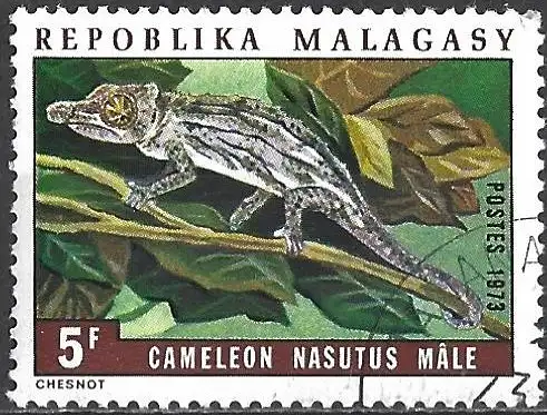 Madagaskar 1973 - Mi 686 - YT 526 - Chamäleon
