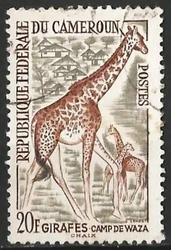 Kamerun 1962 - Mi 366 - YT 350 - Tierwelt : Giraffe