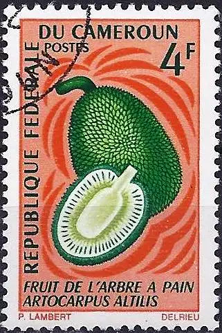 Kamerun 1967 - Mi 508 - YT 443 - Fruit